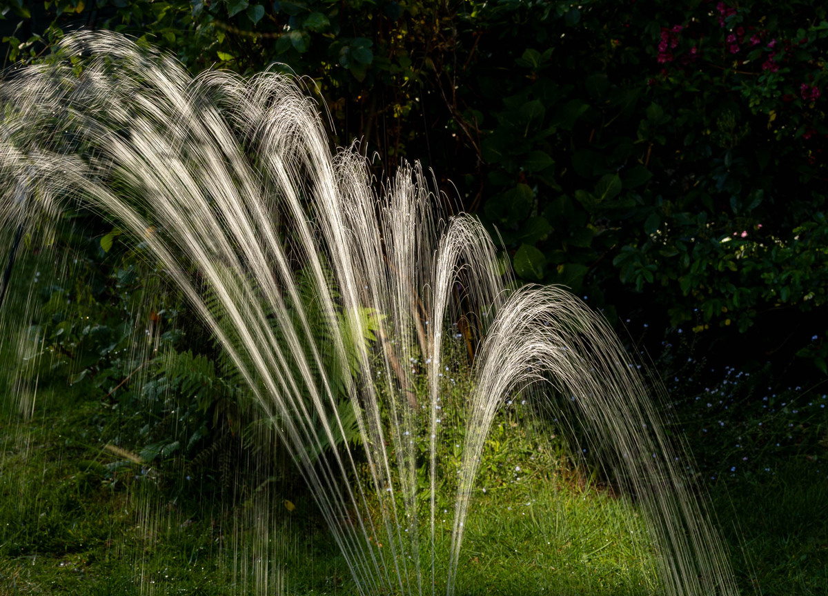 Garden Sprinkler - Dan Johnson